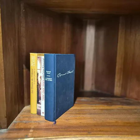 La Muse Centre Historique Apartment *