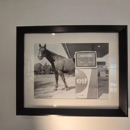 La Muse Centre Historique Appartement Rouen