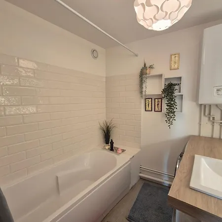 La Muse Centre Historique Apartment Rouen