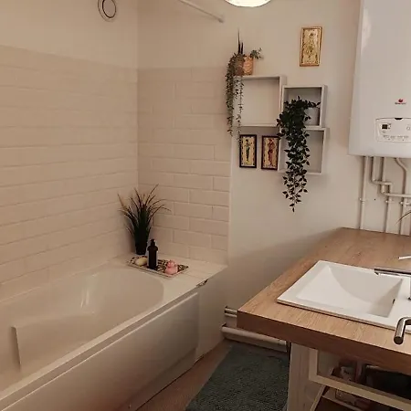 Apartment La Muse Centre Historique