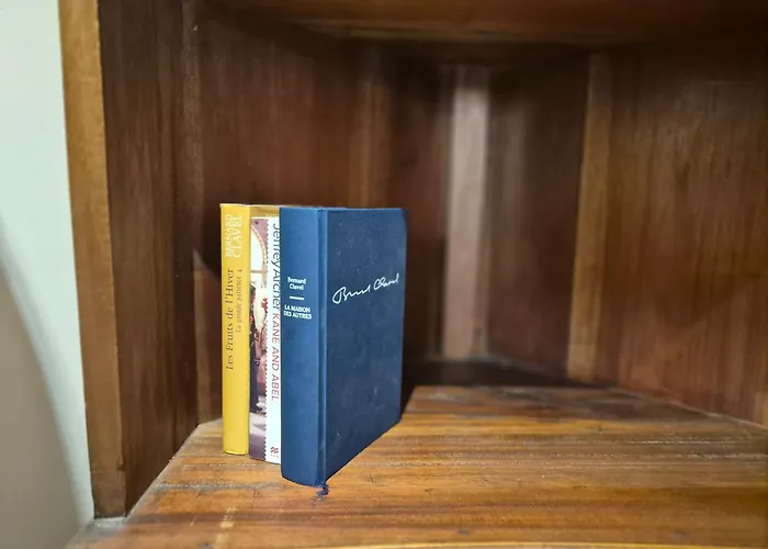 La Muse Centre Historique Apartment *