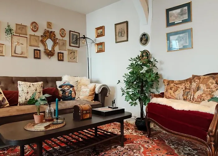 La Muse Centre Historique Apartment *