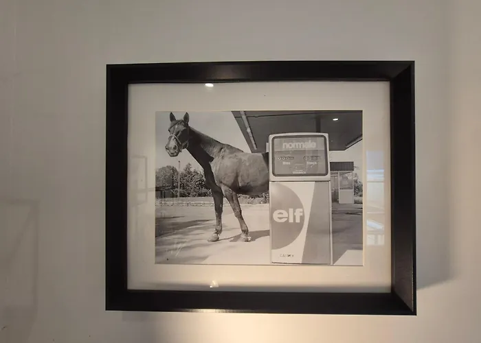 La Muse Centre Historique Appartement Rouen