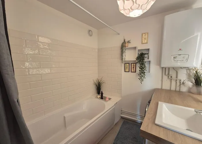 La Muse Centre Historique Apartment Rouen