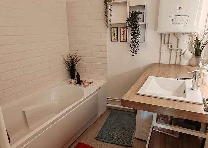 Apartment La Muse Centre Historique