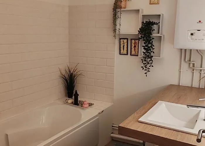 Appartement La Muse Centre Historique