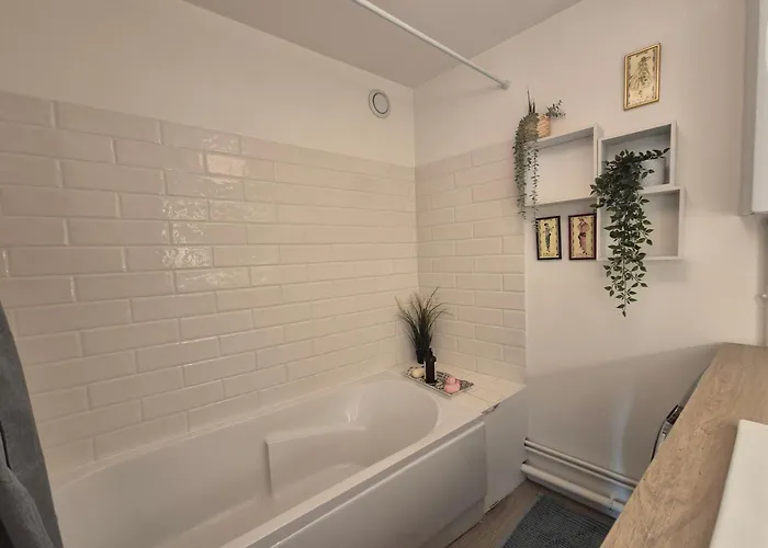 Apartment La Muse Centre Historique